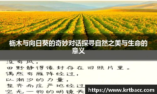 枥木与向日葵的奇妙对话探寻自然之美与生命的意义
